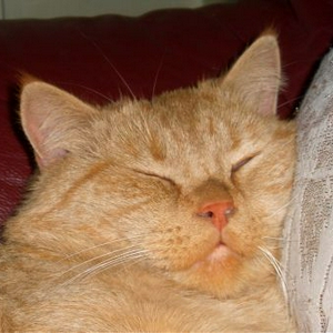 CAM_2704.jpg