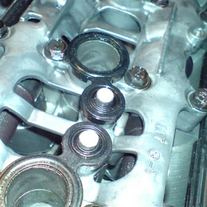 DSC00160 (Medium).JPG