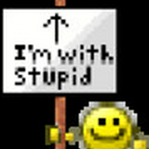 stupid.gif