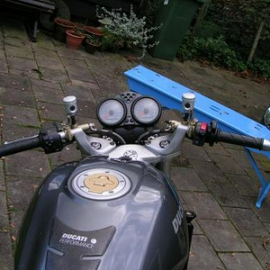 ducbarend.JPG