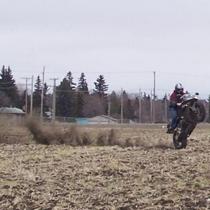 dirt-tires2.jpg