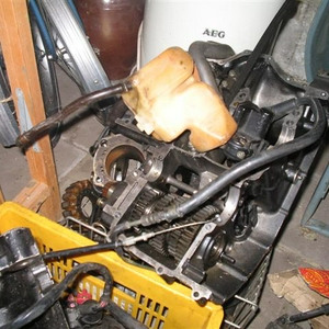 IMG_0509 (Small).JPG