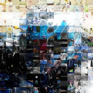mosaicuitsnede.jpg