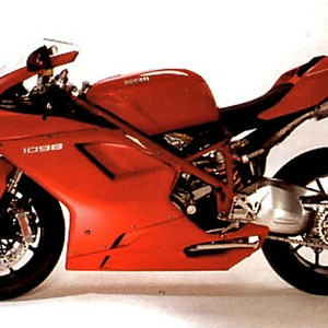 duc1.jpg