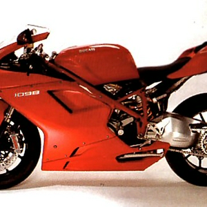 duc2.jpg