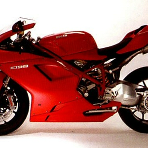 duc4.jpg