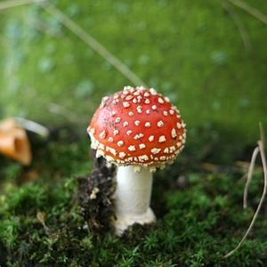 PY1R0018s.jpg