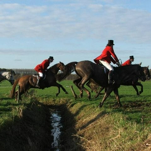 DSCF2045.jpg