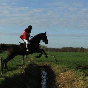 DSCF2056.jpg