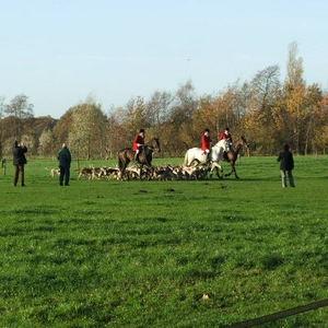DSCF2095.jpg