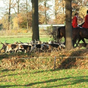 DSCF2096.jpg
