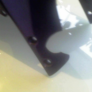 gat.jpg