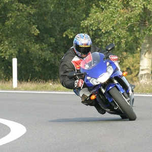blauwe bladeonL.jpg