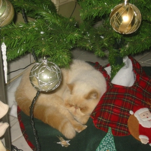 112-1259_IMG.JPG