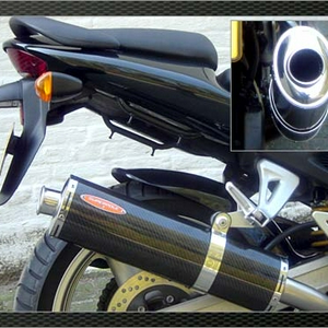 suzuki_05.jpg