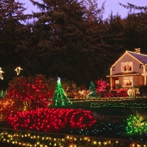 heelveelkerstlichtjes320x240.jpg