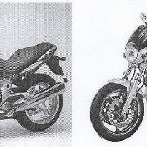 Breva - bulldog.jpg