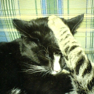 DSC00349a.JPG