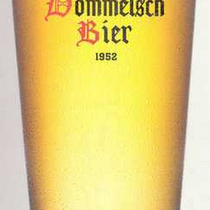 Dommelsch.jpg
