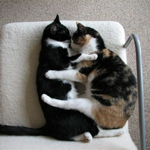 Lief.JPG