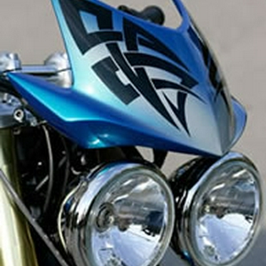 Fly screen Speed triple 1050 tribal