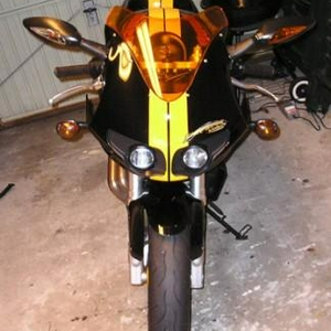 Buell_knippers_small.JPG