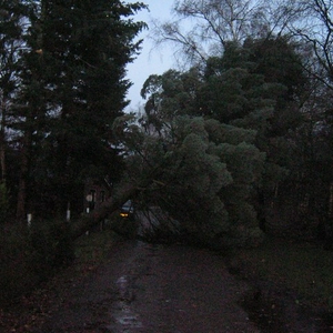 storm1.jpg