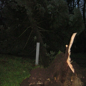 storm3.jpg