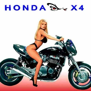 X4.jpg