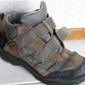 Schoen.jpg