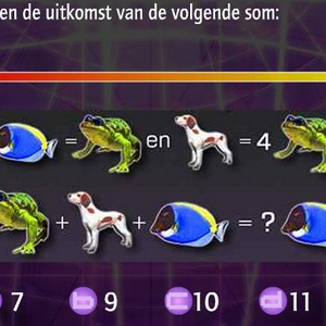 iqtest.JPG