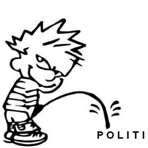 politiek.jpg