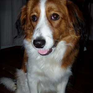Gino3.JPG