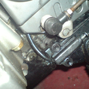 DSC00315.jpg