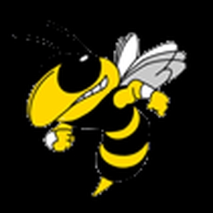 buzzfly6.gif