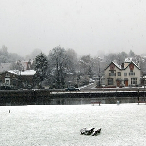DSC_0119.jpg