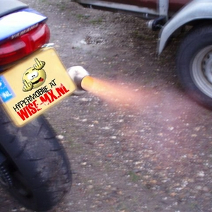 MF.jpg
