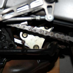 Tailrisers1.JPG