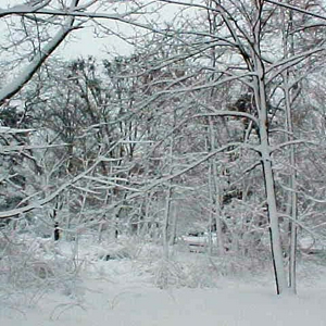 Snow.jpg