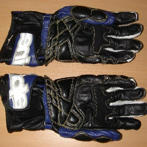 alpinestarsGPPlus2.JPG