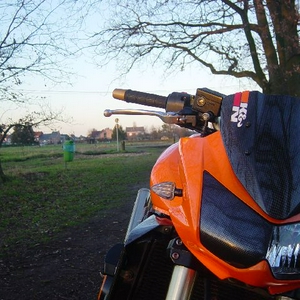 z5.jpg
