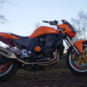 z3.jpg