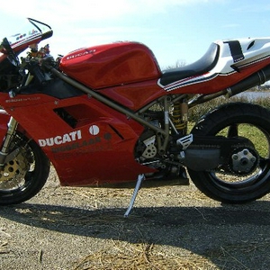 duc4.JPG