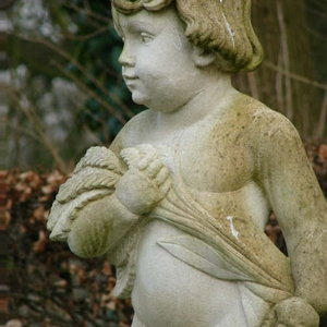 DSC09988.JPG