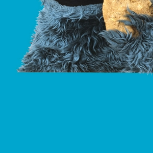 cookie.jpg