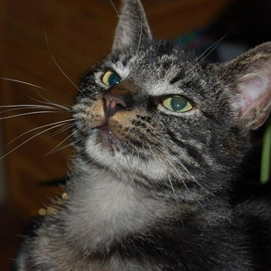 DSC_0483.jpg