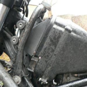 P1000350.JPG