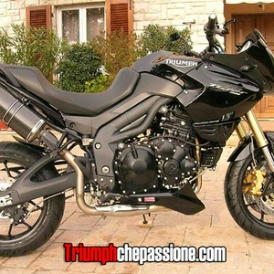 tiger-1050-nero-triumph.jpg