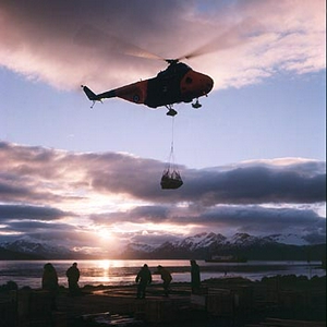 overbrengen van raptor(speciale ratte missie).jpg