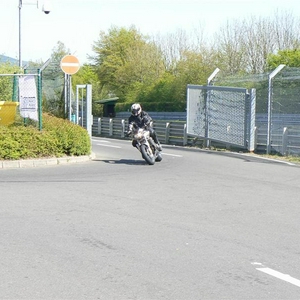 P1040512 (Large) (Medium).JPG